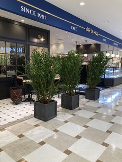 カフェラミル アルカキット錦糸町店の店舗外観
